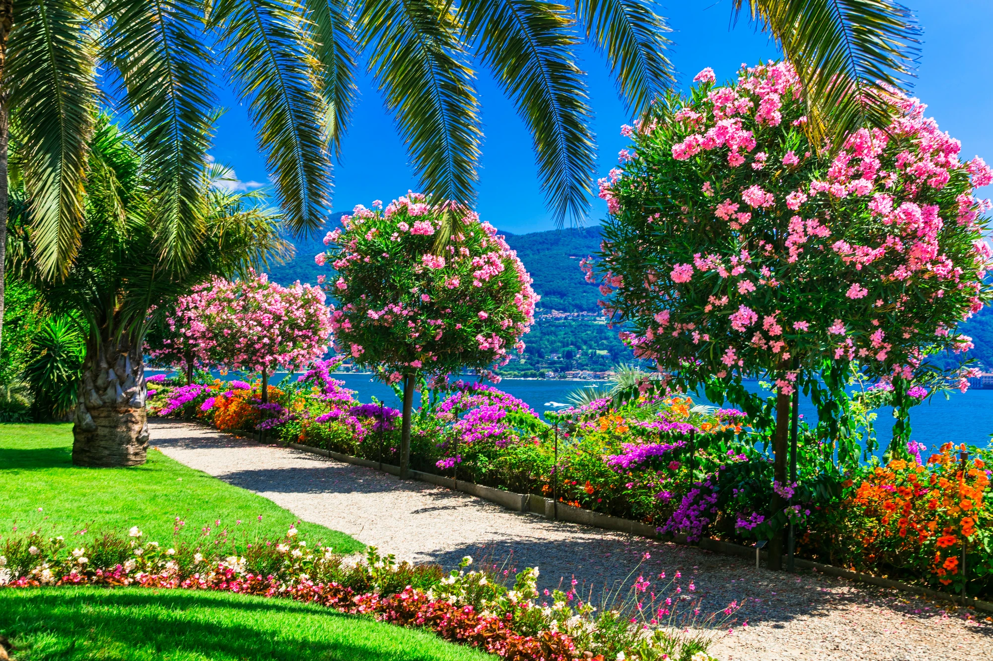 Isola Madre Lago Magiore Italien