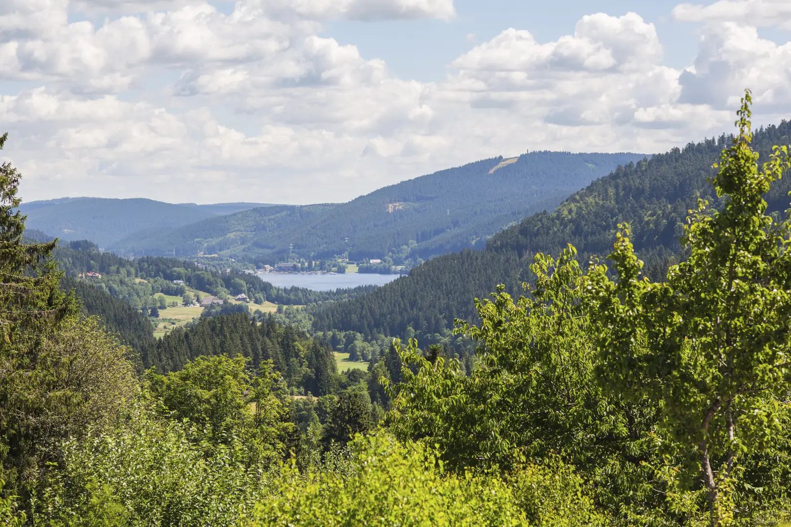 Panoramablick bei Kurzurlaub Schwarzwald Titisee